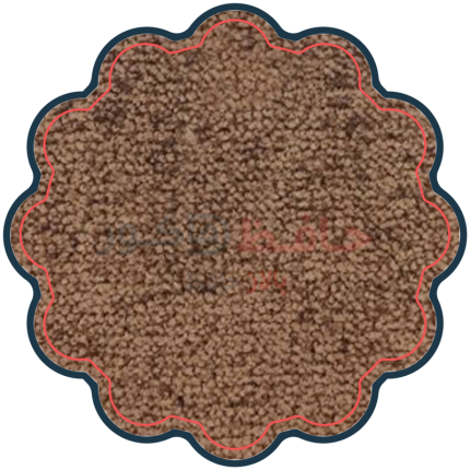موکت زیبا پالاز کد 5503